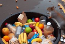 EU ročně vyhodí až 58,5 milionů tun potravin aneb Světový den boje proti plýtvání potravinami