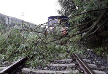 Kvůli popadaným stromům či nepřízni počasí nejezdily ráno vlaky na desítce tratí