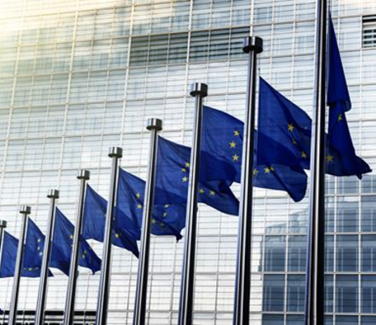 Státy EU odmítly roční technické kontroly pro auta starší deseti let, řekl Kupka