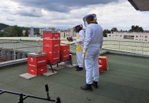 DPP vytočil svůj historicky první vlastní med