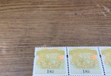 Lidé vrátili kolky za více než 20 milionů korun