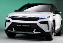 Škoda Auto loni zvýšila v Česku prodej nových aut o 0,8 pct na 78.097 vozů