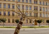 VŠLG propojila výuku dopravního práva s praxí nákladní dopravy