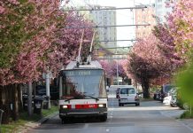 Dopravní podnik města Brna se loučí s trolejbusy 21Tr – průkopníky nízkopodlažní dopravy v Brně