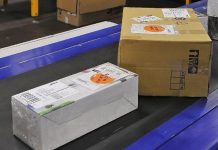 Průzkum: S malou kapacitou výdejních boxů se potýká víc než polovina lidí lidí