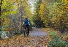 Další etapa cyklostezky z Nového Boru do České Lípy bude stát 31 milionů