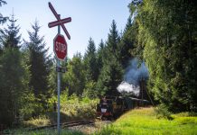 Gepard chce pokračovat v údržbě úzkokolejky, Jindřichovu Hradci se vrátí půjčka