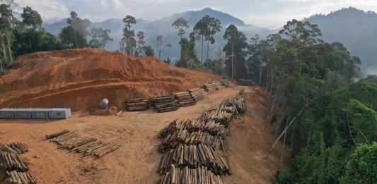 Evropská komise představila v říjnu návrh na změnu nařízení EU proti odlesňování (EUDR)