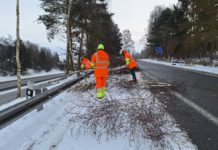 ŘSD při zimní údržbě prořezává stromy, které by mohly ohrozit provoz