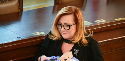 Snížit daň z paliv nemá účinek, stát by přišel o peníze, řekla Schillerová