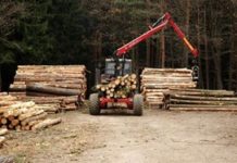 Evropská komise zveřejnila 3. vydání infografiky k EUDR. Přehledně ukazuje role a povinnosti v dodavatelském řetězci