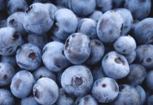 Bateriové úložiště z borůvek? To není sci-fi, ale maximálně využitý potenciál provozu české mrazírny BIO surovin