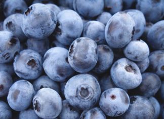 Bateriové úložiště z borůvek? To není sci-fi, ale maximálně využitý potenciál provozu české mrazírny BIO surovin