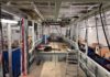 Projekt Tramvaj pro Brno pokračuje. V dílnách DPMB vznikají další Draci